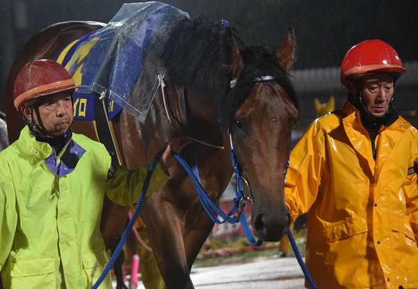 東京ダービー18観戦記 Nathanielの競馬ブログ