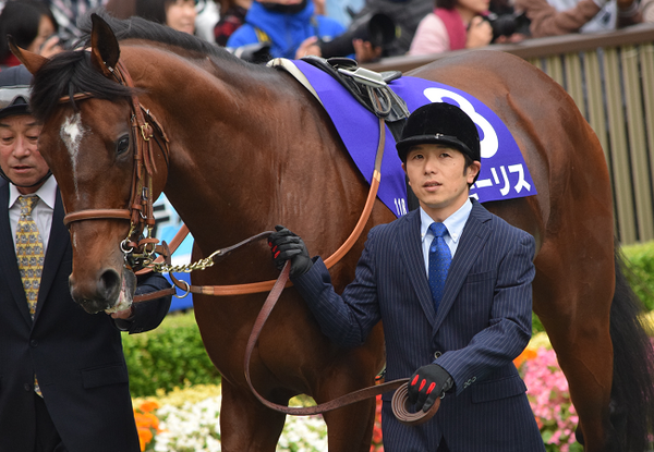 天皇賞秋2016観戦記(1) : Nathanielの競馬ブログ