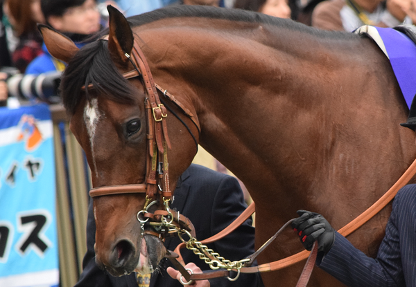 天皇賞秋2016観戦記(1) : Nathanielの競馬ブログ