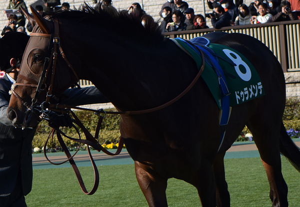 追悼キングマンボ 画像集 Nathanielの競馬ブログ