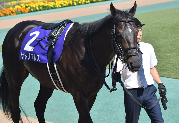 安田記念2018観戦記 Nathanielの競馬ブログ