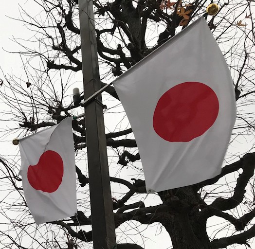 鏡餅や正月飾りはいつから飾る まめ S Home Powered By ライブドアブログ