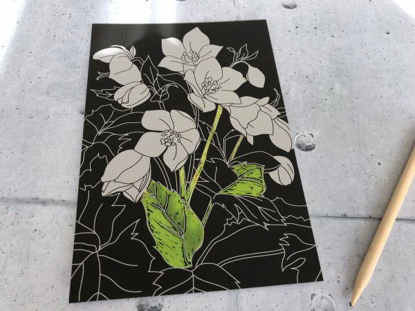 ぶきっちょでもガサツでも楽しい ダイソーの スクラッチアート まめ S Home Powered By ライブドアブログ