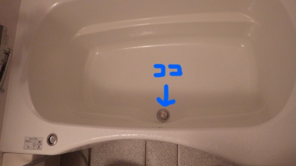 浴槽の排水口掃除 まめ S Home Powered By ライブドアブログ