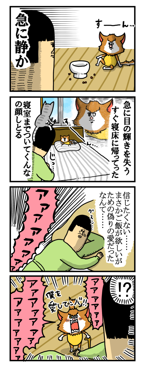 3日目くらいでやっと気づいた事実 : まめきちまめこニートの日常