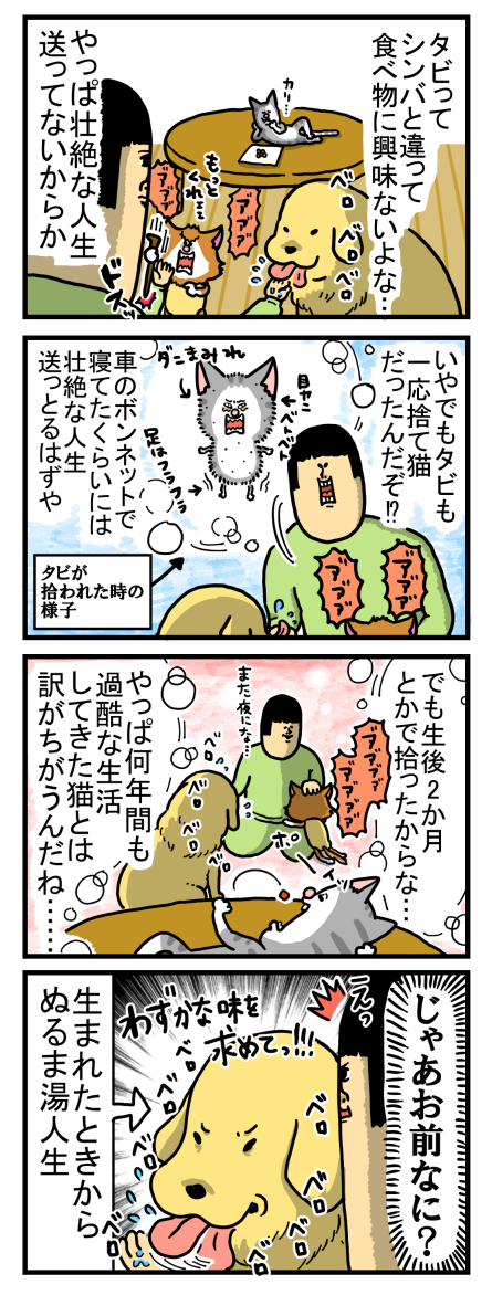 タビの優雅な猫感すごいけど奴もまた捨て猫だった : まめきち