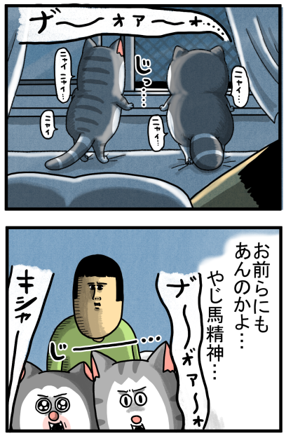 猫にもしっかり刻まれた「野次馬精神」 : まめきちまめこニート