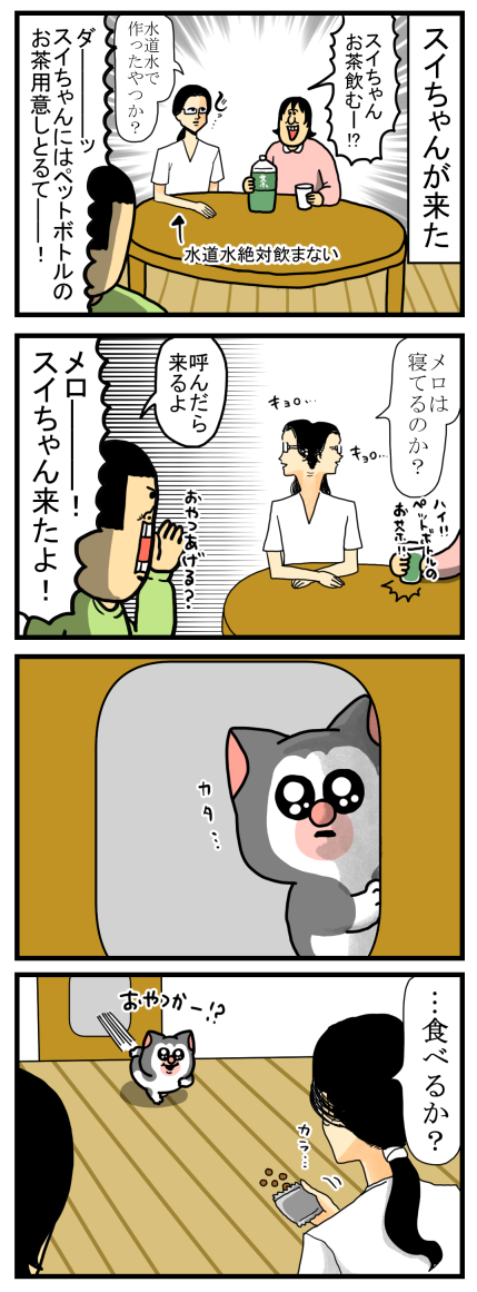 スイちゃんが、生協の注文よりも夢中になってるもの : まめきちまめこ