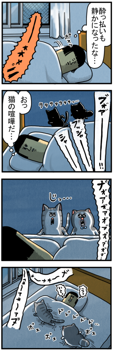 猫にもしっかり刻まれた「野次馬精神」 : まめきちまめこニート