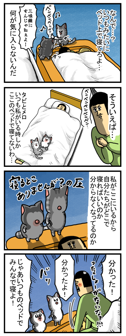 散々騒いで、人を動かした挙句の猫たち : まめきちまめこニート