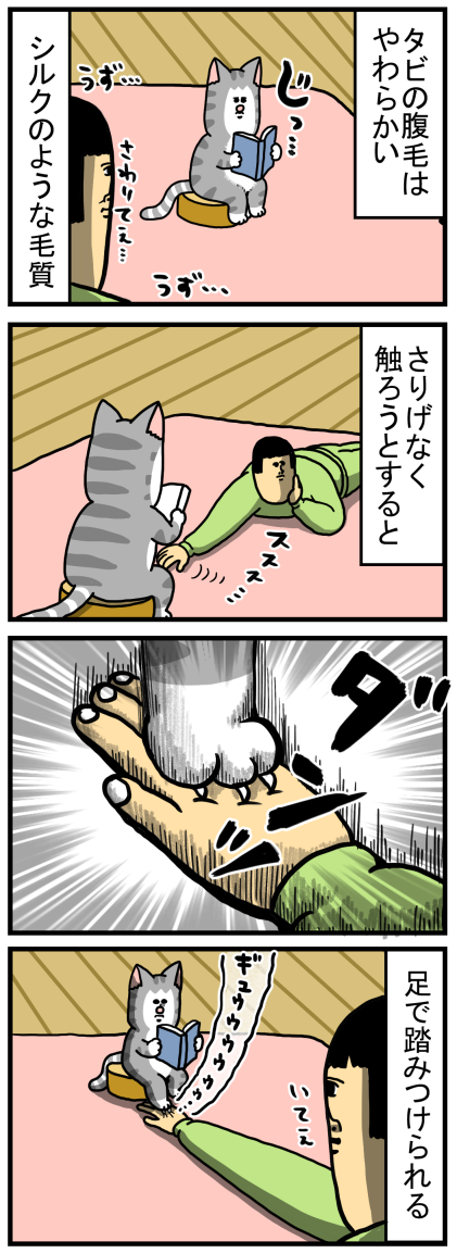 腹毛を触ろうとすると阻止してくる猫 : まめきちまめこニートの日常