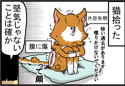 謎の猫5】奴のスタンドが見える : まめきちまめこニートの日常