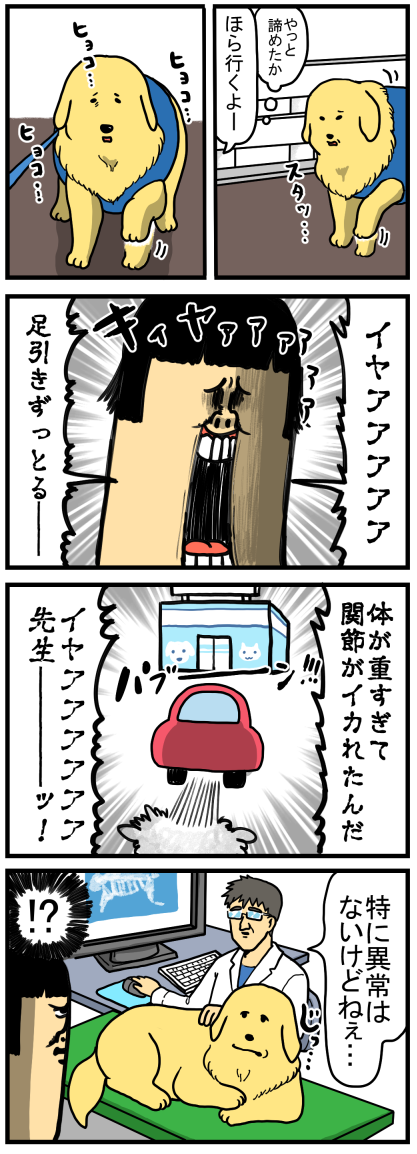 散歩中 早く帰る方法を編み出してしまった犬 まめきちまめこニートの日常 Powered By ライブドアブログ