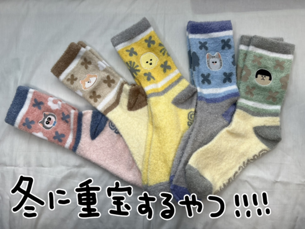 しまむらでまめこグッズの予約販売始まるゾ！！ : まめきちまめこ