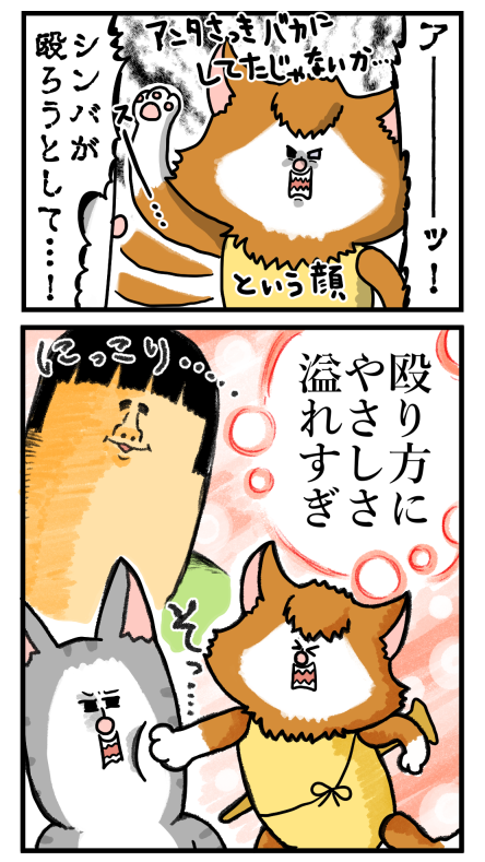 お互いを意識し合うウチの猫たち まめきちまめこニートの日常 Powered By ライブドアブログ