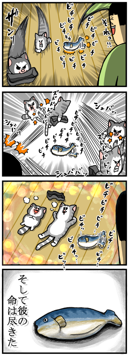 飼い主と魚の気持ちを汲み取らない猫 : まめきちまめこニートの 飼い主と魚の気持ちを汲み取らない猫 : まめきちまめこニートの