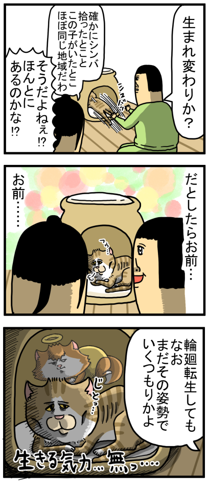 謎の猫5】奴のスタンドが見える : まめきちまめこニートの日常