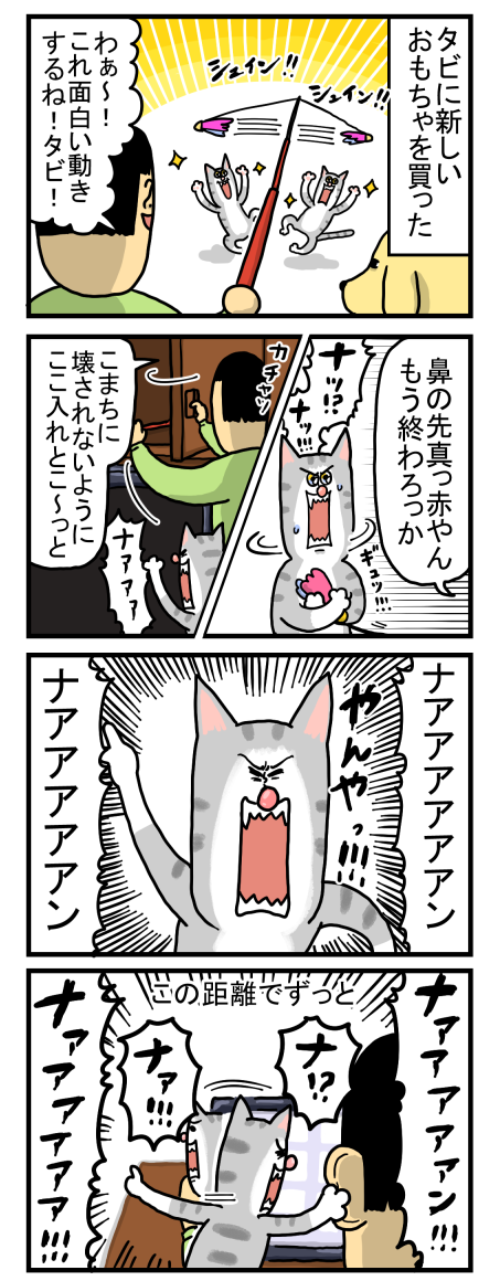 休んでる場合じゃない猫 : まめきちまめこニートの日常 Powered by