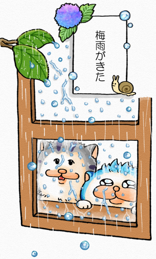 メロとタビ/こばなし】梅雨入り : まめきちまめこニートの日常 Powered