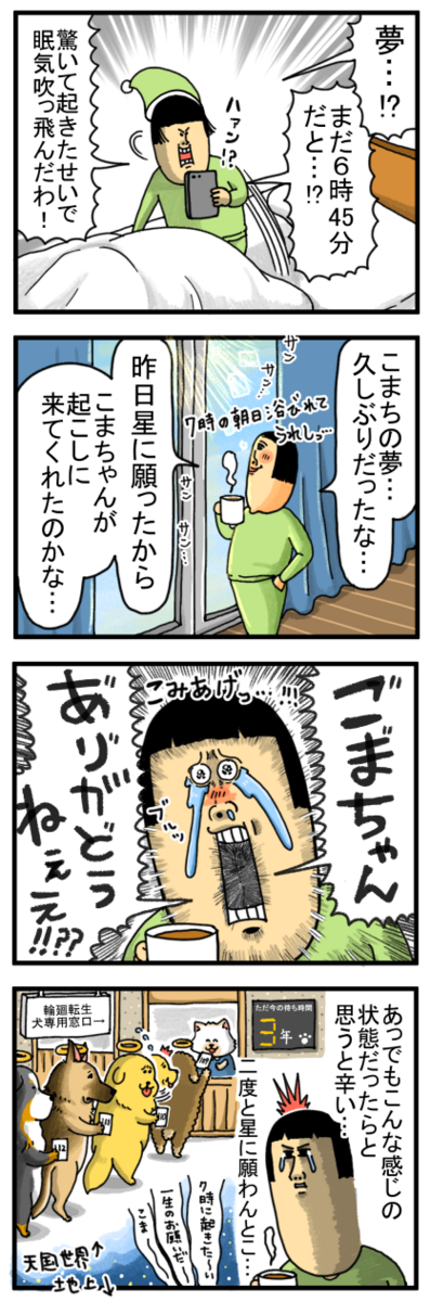 私の願い事を叶えに来てくれた…の…？ : まめきちまめこニートの