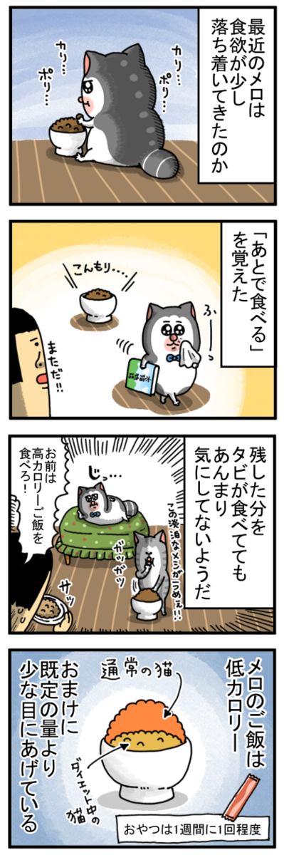 絶対に太る要素がないはずの猫 : まめきちまめこニートの日常 Powered