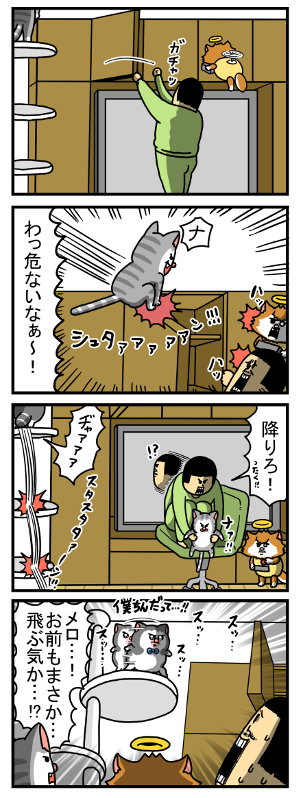 自分の力量分かってるタイプの猫 : まめきちまめこニートの日常
