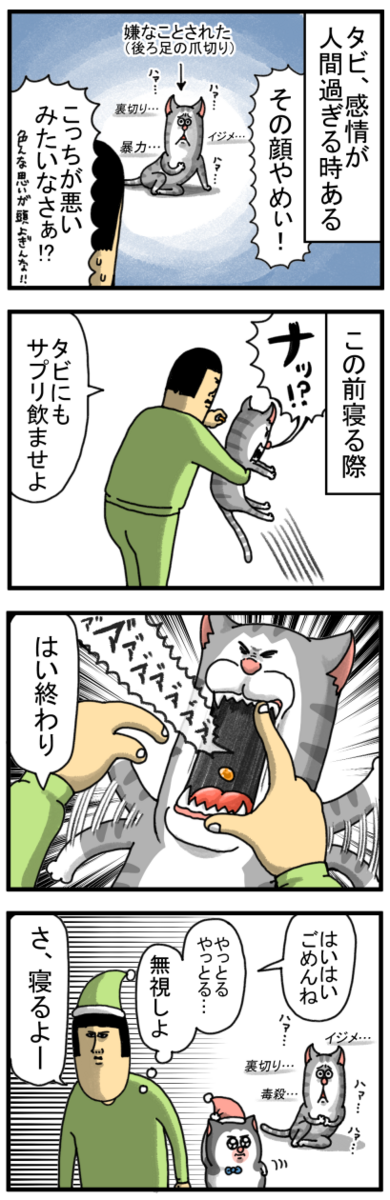 まめ✨５点☆ まめきちまめこニートの日常 こまちとタビ5 | まめきちまめこ