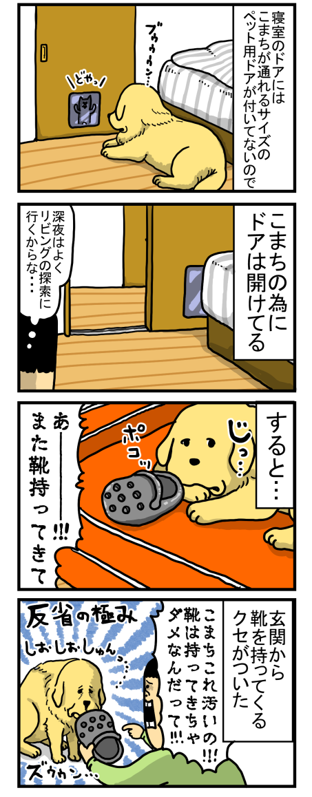 反省はしないけど学習はする犬 : まめきちまめこニートの日常