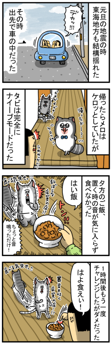 帰ったらナイーブモードに入ってた猫 : まめきちまめこニートの日常