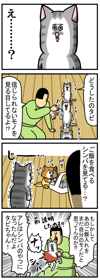 信じられないものを目撃したタビ : まめきちまめこニートの日常