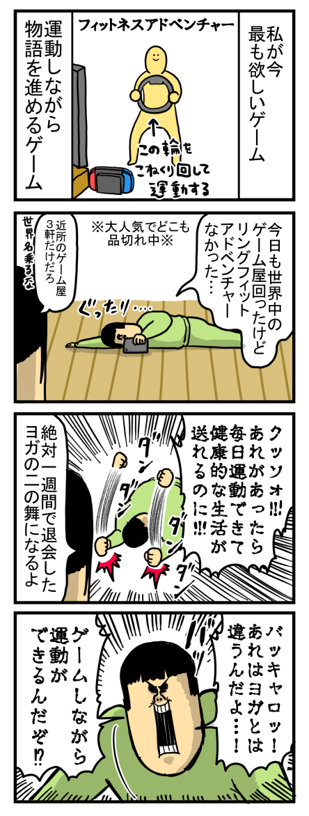 定番人気！ フィットネスアドベンチャーを手に入れた結果 : まめきちまめこ 菓子