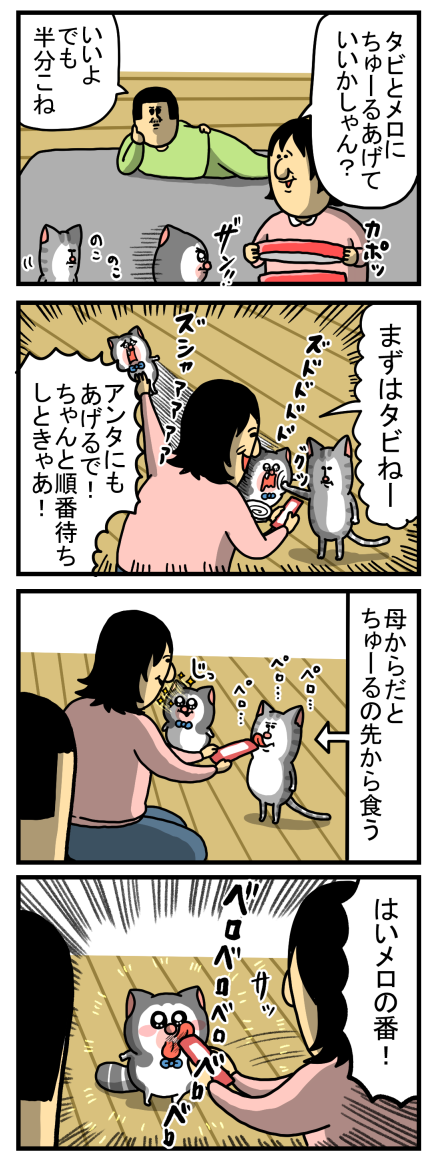 ちゅーるの番を待ってる姿が健気すぎる猫 : まめきちまめこニートの