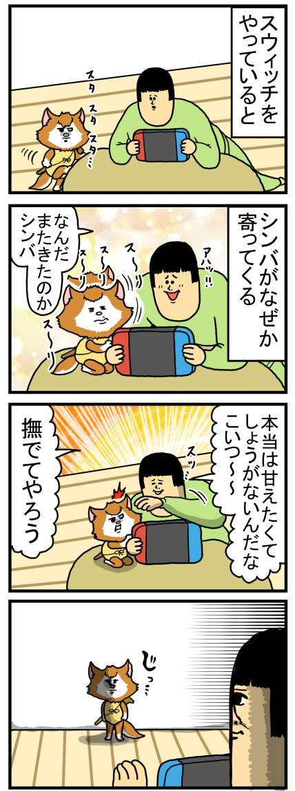 シンバとの距離が少しずつ縮まっていると感じた矢先 まめきちまめこニートの日常 Powered By ライブドアブログ