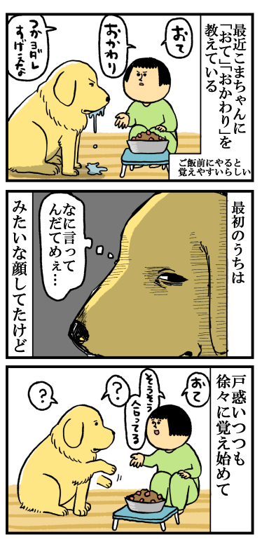 こまっちゃんに芸を : まめきちまめこニートの日常 Powered by