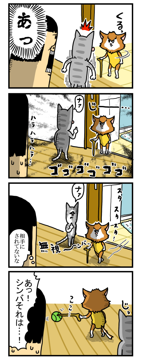 うちの猫の尻へのこだわり : まめきちまめこニートの日常 (記事