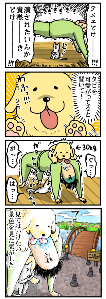 リングフィットアドベンチャーでモンスターと闘ったよ まめきちまめこニートの日常 Powered By ライブドアブログ