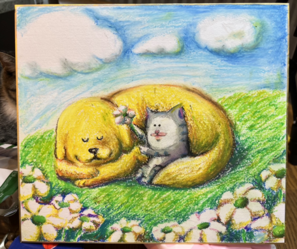 まめきちまめこ on X: 