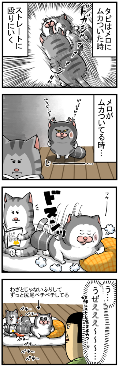 やり返し方が小賢しい猫 : まめきちまめこニートの日常 Powered by