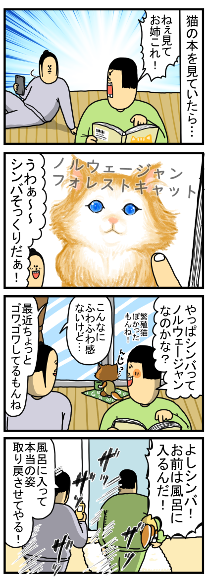 拾い猫シンバはノルウェージャンだと気づいた結果 まめきちまめこニートの日常 Powered By ライブドアブログ