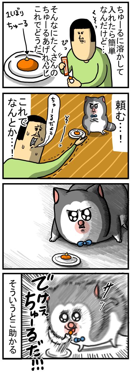 猫にサプリを飲ませるの、そんな楽だったんだ : まめきちまめこニート