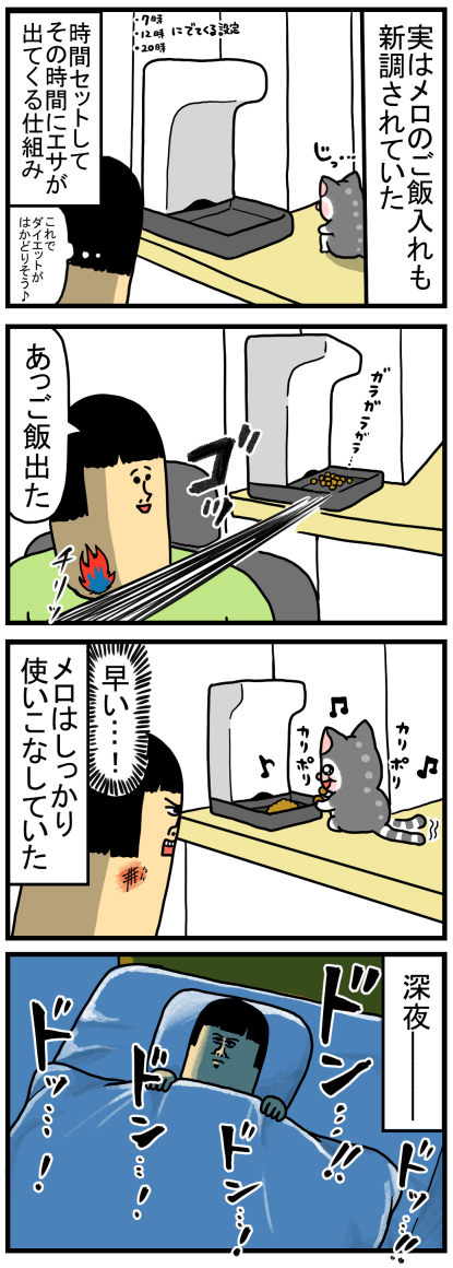 食いしん坊の猫用にタイマー式のエサ入れを買った : まめきちまめこ