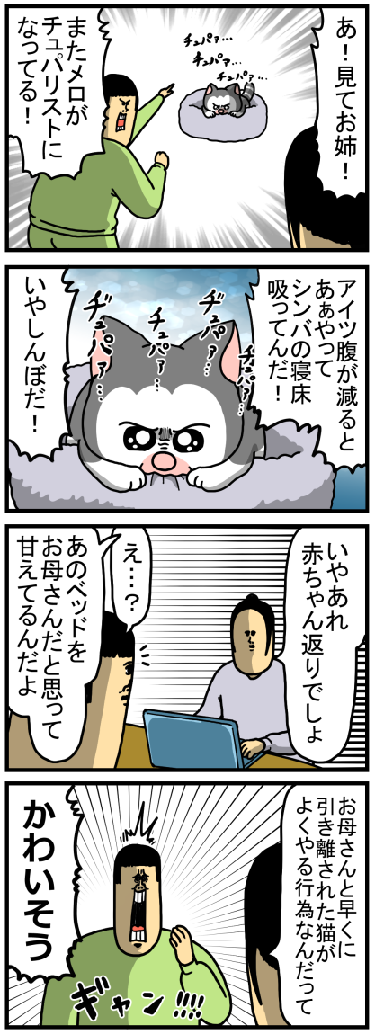 猫がチュパリストになる理由 : まめきちまめこニートの日常 Powered by