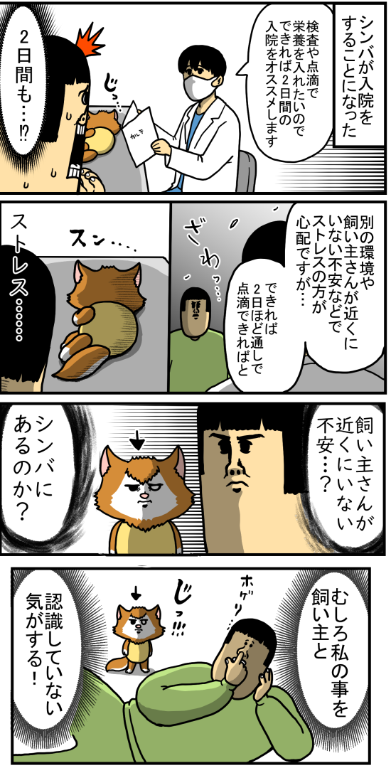 シンバが２日入院したからお見舞いに行った結果 まめきちまめこニートの日常 Powered By ライブドアブログ