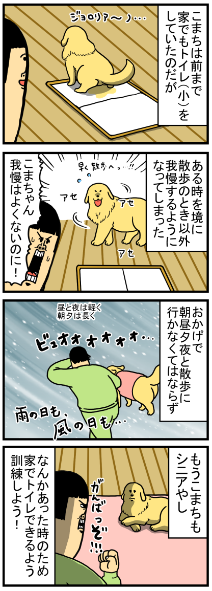 犬のトイレトレーニング姿を娯楽にする猫たち まめきちまめこニートの日常 Powered By ライブドアブログ