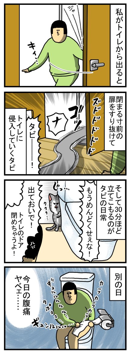 定期的にトイレ前で出待ちする猫 : まめきちまめこニートの日常