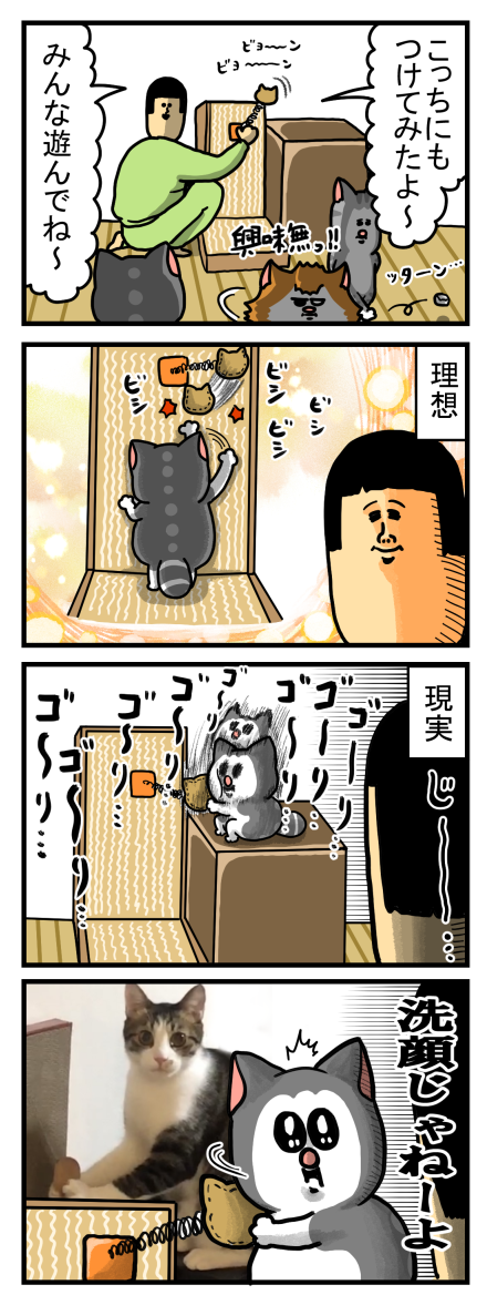 勝手に遊ぶ系猫のおもちゃ、大体遊ばれない : まめきちまめこニートの