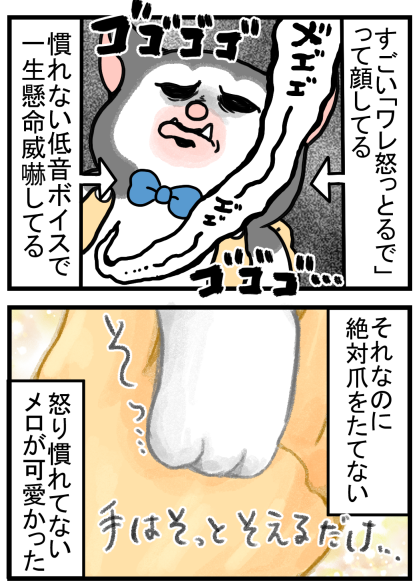 怒り慣れてない猫が一生懸命怒りを表すとき まめきちまめこニートの日常 Powered By ライブドアブログ