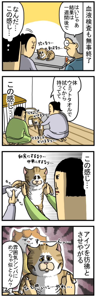 謎の猫5】奴のスタンドが見える : まめきちまめこニートの日常