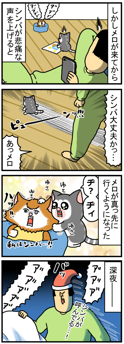 おばあちゃんと孫みたいな関係を築く猫たち まめきちまめこニートの日常 Powered By ライブドアブログ