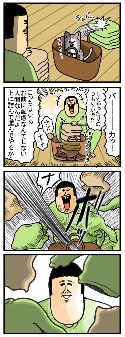 私が何かをしていると邪魔せずにはいられん猫 : まめきちまめこ